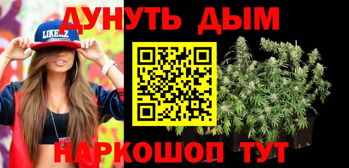 Кингисепп  Канабис VHQ  Марихуана сатива  Бошки Шишки план  Вход с VPN 